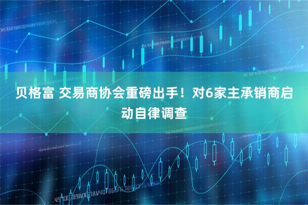 贝格富 交易商协会重磅出手！对6家主承销商启动自律调查