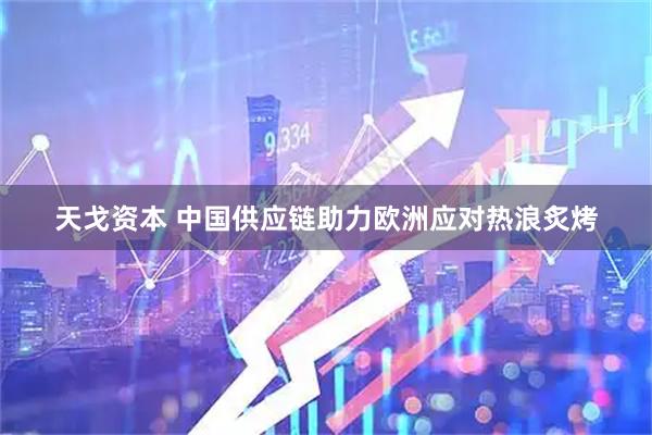 天戈资本 中国供应链助力欧洲应对热浪炙烤